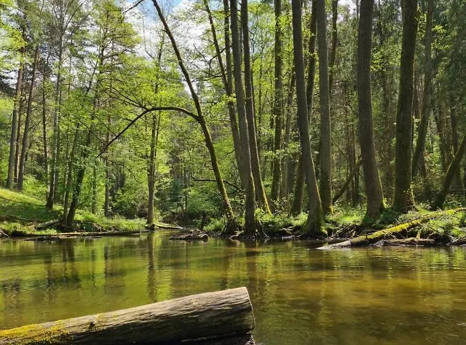 Przystan 21 * Iława